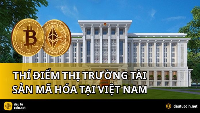 THÍ ĐIỂM THỊ TRƯỜNG TÀI SẢN MÃ HÓA TẠI VIỆT NAM TỪ 9 9 2025