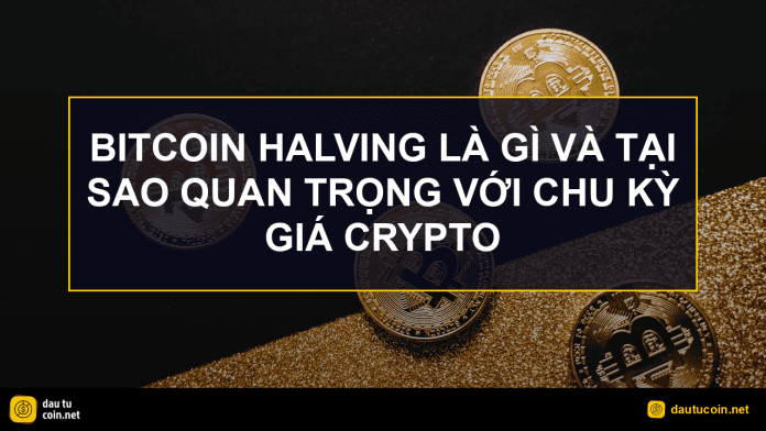Bitcoin halving - Bitcoin Halving là gì và tại sao quan trọng với chu kỳ giá crypto - dautucoin.net