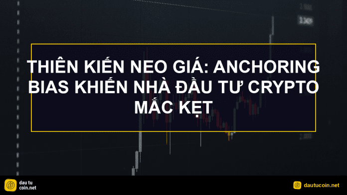 thiên kiến neo giá - Thiên kiến neo giá: Anchoring bias khiến nhà đầu tư crypto mắc kẹt - dautucoin.net